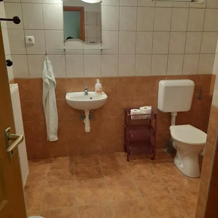 Anna Vendeghaz Pensiune 3*