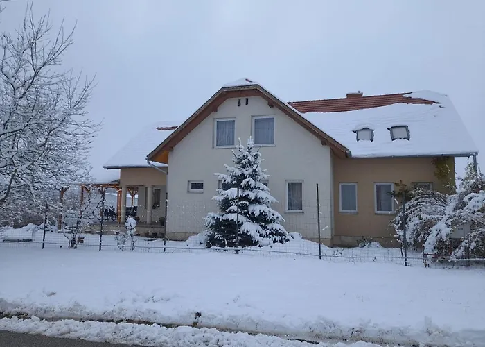 Anna Vendeghaz Penzion